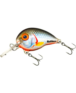 RUTHLESS HOLY DIVER ROACH VAAPPU Main Image