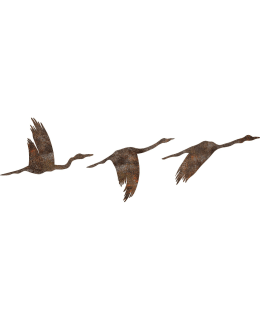 WALLXPERT 891TNL3782 11X16 WALL DECOR Main Image