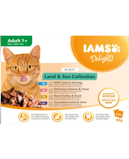 IAMS CAT DELIGHTS JELLY LAND&SEA 12X85G Main Image