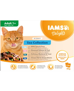 IAMS CAT DELIGHTS GRAVY SEA 12X85G Main Image