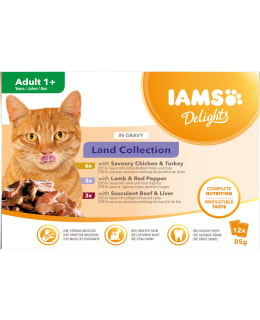 IAMS CAT DELIGHTS GRAVY LAND 12X85G Main Image