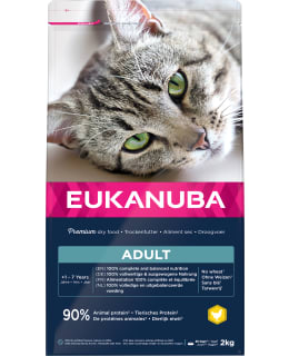 EUKANUBA CAT ADULT 2KG KUIVARUOKA Main Image