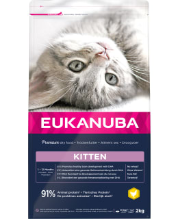 EUKANUBA CAT KITTEN 2KG KUIVARUOKA Main Image