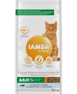 Iams Cat Adult Ocean Fish 3 kg kissan kuivaru