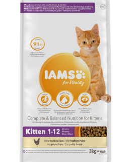 IAMS CAT KITTEN 3 KG KISSAN TÄYSRAVINTO Main Image