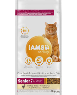 IAMS CAT SENIOR 3 KG Main Image
