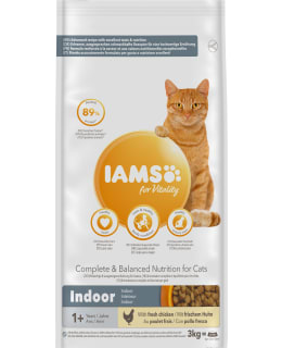 IAMS CAT ADULT INDOOR 3KG KISSAN TÄYSRAV Main Image