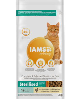 IAMS CAT ADULT STER. 3KG KISSAN TÄYSRAVI Main Image