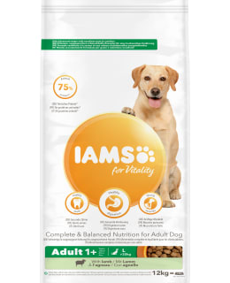 IAMS DOG ADULT LARGE LAMB 12 KG Main Image