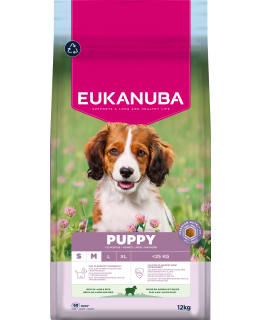 EUKANUBA DOG PUPPY SM/MED LAMB&RICE 12KG Main Image