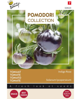 BUZZY POMODORI TOMAATTI INDIGO ROSE Main Image