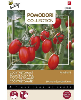 BUZZY POMODORI, TOMATO RAVELLO F1 Main Image