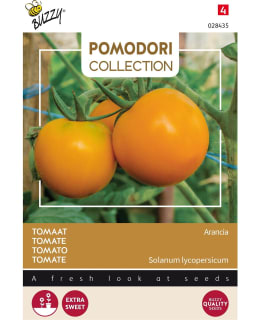 BUZZY POMODORI TOMAATTI ARANCIA/ZLOTY OZ Main Image