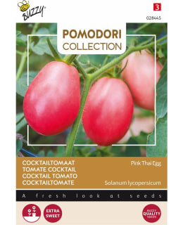 BUZZY POMODORI, TOMATO PINK THAI EGG Main Image