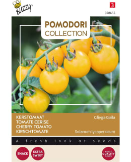 BUZZY POMODORI CHERRY TOM. CEREZA AMAR. Main Image
