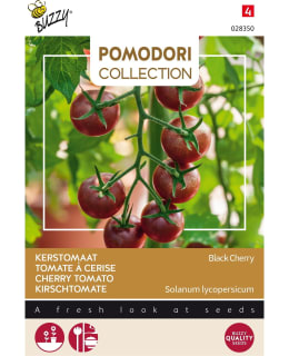 BUZZY POMODORI KIRSIKKATOM BLACK CHERRY Main Image