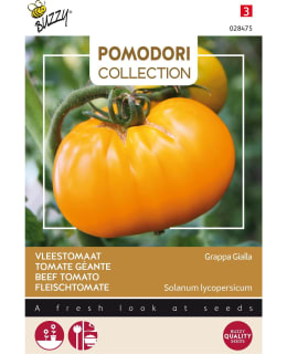 BUZZY POMODORI BEEF TOMATO BRANDYWINE Y Main Image