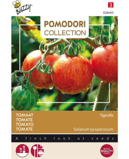 BUZZY POMODORI TOMATO TIGERELLA Main Image
