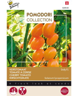 BUZZY POMODORI CHERRY TOMATO DOLLY F1 Main Image