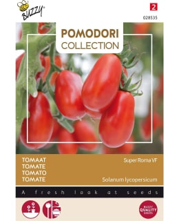 BUZZY POMODORI TOMATO SUPER ROMA VF Main Image
