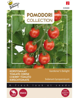 BUZZY POMODORI TOMATO GARDENERS DEL. Main Image