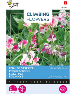 BUZZY CLIMB FL LATH UNWIN'S STR Main Image