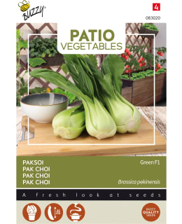 BUZZY PATIO VEGGIES PAK CHOI GREEN F1 Main Image