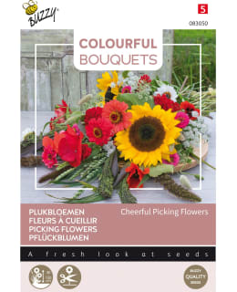 BUZZY COL BOUQ CHEERFUL PICKING FLOWERS Main Image