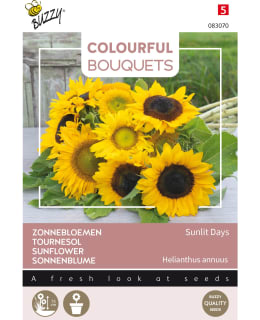 BUZZY COL BOUQUET SUNLIT DAYS SUNFLOWER Main Image