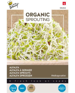 BUZZY BIO SPROUTING ALFALFA Main Image