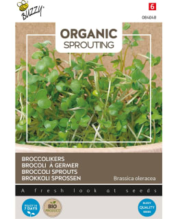 BUZZY ORGANIC SPROUTING BROCCOLI CRESS Main Image