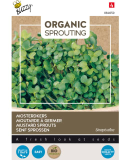 BUZZY BIO SPROUTING SINAPPI Main Image