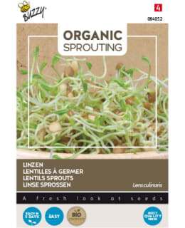 BUZZY BIO SPROUTING LINSSI Main Image