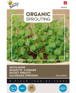 BUZZY BIO SPROUTING SINAPPIKAALI RUKOLA Main Image