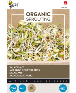 BUZZY BIO SPROUTING SEKOITE Main Image