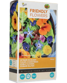 BUZZY® SEKOITE SYÖTÄVIÄ KUKKIA SIEMEN Main Image