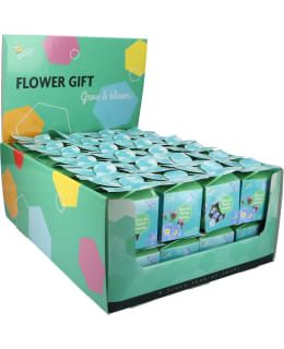 BUZZY FLOWER GIFT LEMMIKKI Main Image