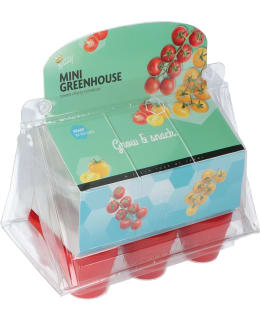 BUZZY MINI GREENHOUSE CHERRY TOMATOES Main Image