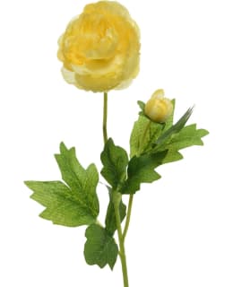 EVERLANDS 802239 KAMELIA KELT TEKOKUKKA Main Image