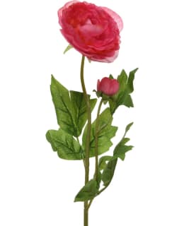 EVERLANDS 802243 KAMELIA PINK TEKOKUKKA Main Image