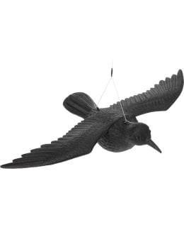 RAVEN BLACK 400X575MM Main Image