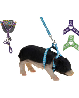 KIB KOIRANVALJAAT 120CM TALUTTIMELLA Main Image