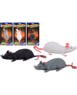 VENYVÄ ROTTA Main Image