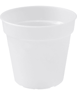 ELHO ORKIDEARUUK 17CM LÄPIKUULT MUOVIA Main Image