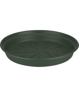 GREEN BASICS SAUCER 14CM LEAF GREEN Main Image