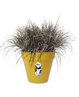 ELHO LOFT URBAN 40 OKRA RUUKKU Main Image