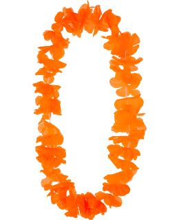 LEI OHANA ORANSSI Main Image