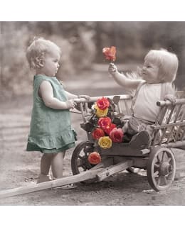 Ambiente Little Romeo lautasliina Main Image