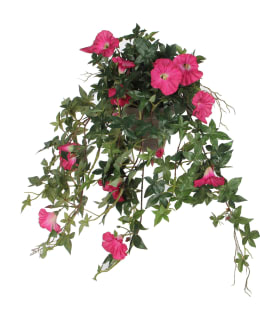 MICA PETUNIA T.PINK SILKKIAMPPELI Main Image