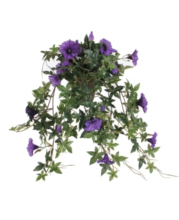 PETUNIA HANGING D. PURPLE  L50XW45XH25CM Main Image